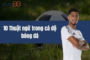 10 thuật ngữ trong cá độ bóng đá cập nhật mới nhất cho bạn