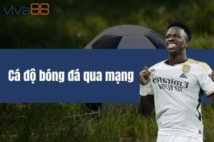 Cá độ bóng đá qua mạng - Cách chơi kèo cược hiệu quả